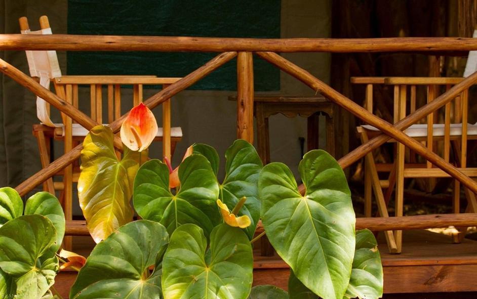 Simbamwenni Lodge And Camping Morogoro Esterno foto