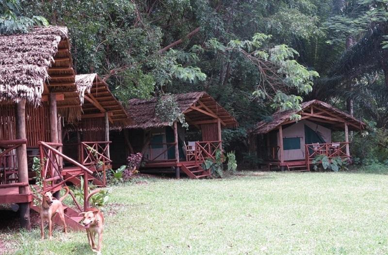 Simbamwenni Lodge And Camping Morogoro Esterno foto